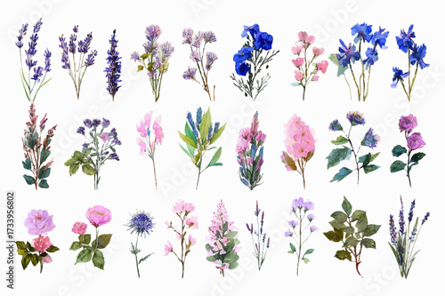 Watercolor set of fresh flowers and plants. Herbal meadow and field plants with flowers. Wild flowers of lavender, roses, cornflowers and others. Elements of wild flowers for rustic designs.