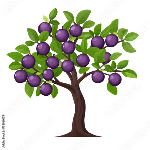 Minimal flat vector of a Plum Tree, 2D icon-style illustration on white background