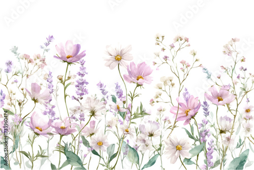 Watercolor background with delicate field herbs and cosmos flowers. Pink cosmos flowers with field and meadow flowers and herbs. Wild delicate pink flowers with green herbs. 