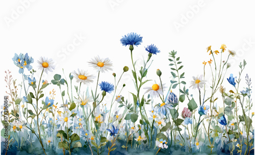 Watercolor banner with wildflowers. Summer background with field and meadow wild flowers of cornflowers, chamomiles and others. Wild flowers and herbs. Grass, flowers and soft botanical elements.