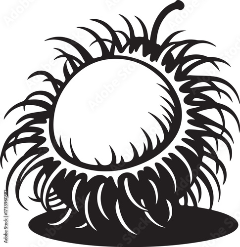 Black and white stylized drawing of a spiky seed pod with stem