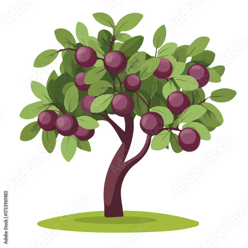 Flat 2D Plum Tree illustration, vector graphic in icon style, on white background