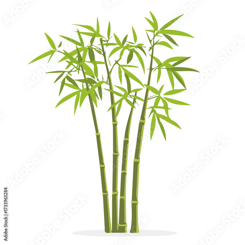 2D flat vector illustration of a Bamboo Tree in icon style, isolated on white background