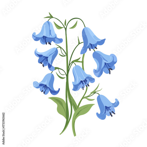 Flat 2D Bluebell illustration, vector graphic in icon style, on white background
