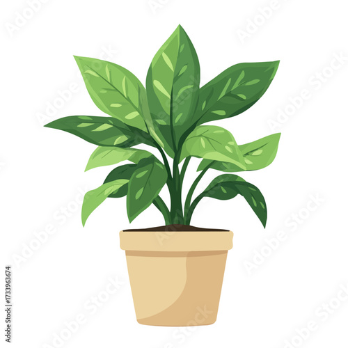 2D flat vector illustration of a Chinese Evergreen in icon style, isolated on white background