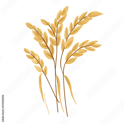 Flat 2D Oats illustration, vector graphic in icon style, on white background