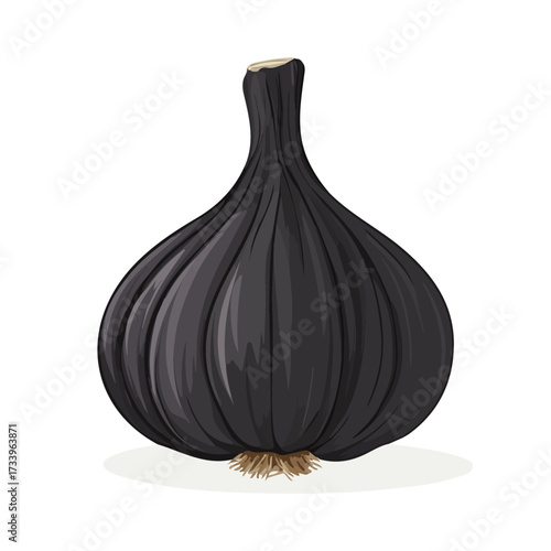 Black Garlic, flat style 2D vector image, isolated on a white background