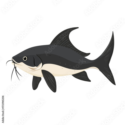 Flat 2D Catfish With Barbels illustration, vector graphic in icon style, on white background