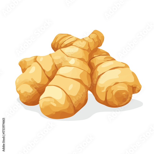 Simple flat 2D vector graphic of Ginger, modern icon look, displayed on a pure white background.