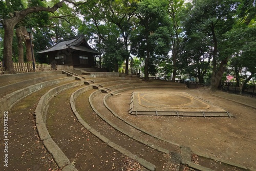 相撲の土俵