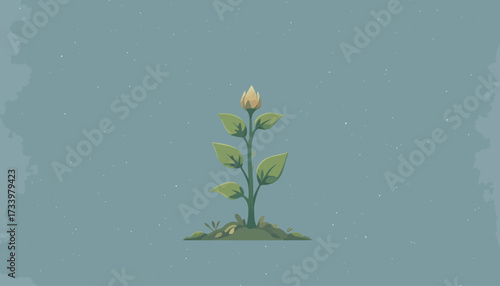plant grow vector