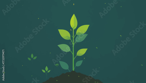 plant grow vector