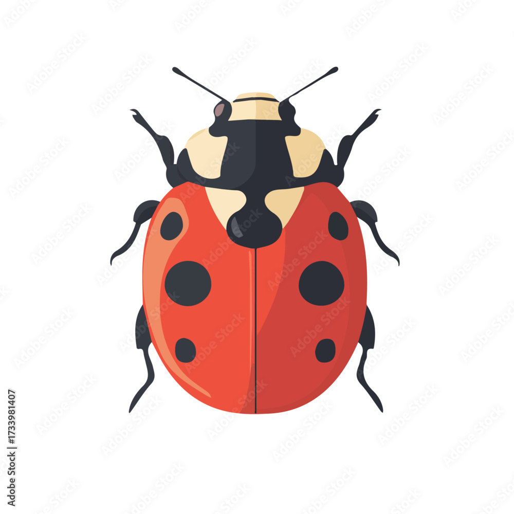 Fototapeta premium 2D flat vector illustration of Ladybug, clean and minimal icon style, isolated on white background.