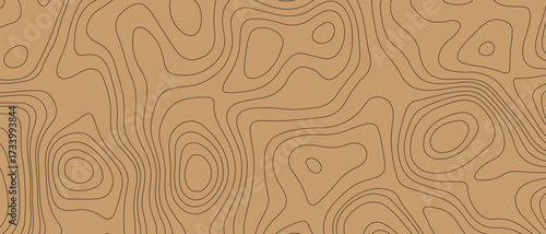 Topographic map pattern background vector. Abstract mountain terrain map background with abstract shape line texture.  geographic grid map vector illustration.