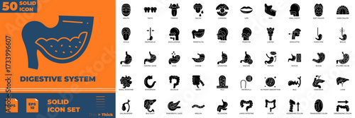 Digestive system solid icon set. digestive, digestion, system, anatomy, gut, stomach, intestine