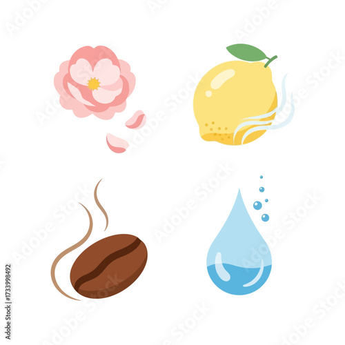 Stylized illustrations of rose lemon coffee bean and water drop.