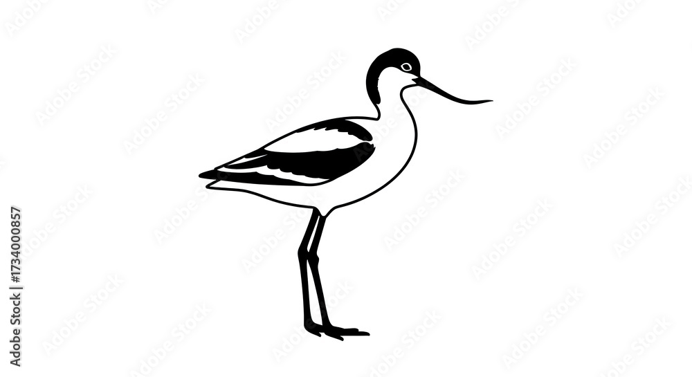 Obraz premium Bird illustration black and white isolated