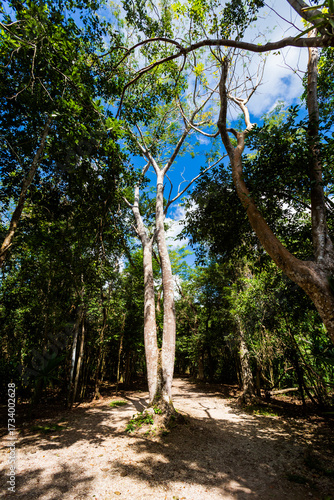 Coba pyramids archeological site in Mexico