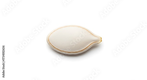 A single whole pumpkin seed with its shell isolated on a clean white background.