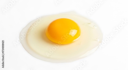 Fresh Raw Egg Yolk and White Isolated on White Background.