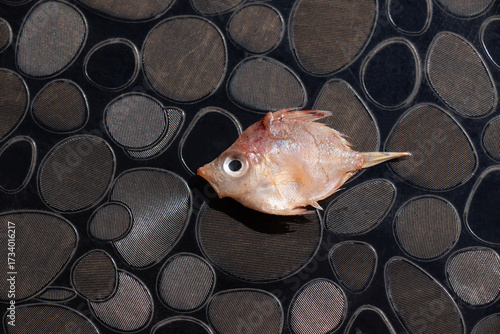 Small orange baby fish on plastic patterned background