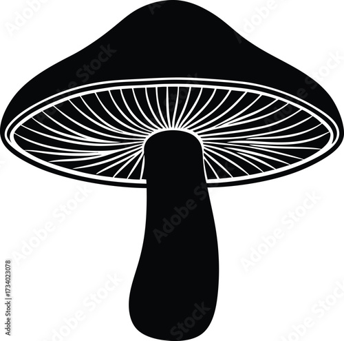 Whimsical illustration of red capped mushrooms growing around a tree stump with grass