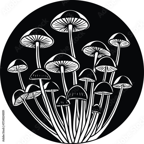 Whimsical line drawing of three mushrooms growing in grassy terrain