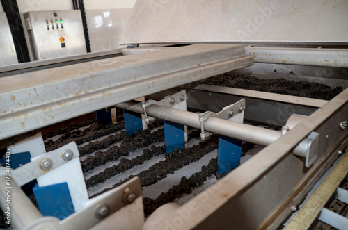 Close-up of belt filter press dewatering unit in action at wastewater treatment plant, showing machinery pushing sewage sludge across belts. it demonstrates industrial process of of separating water