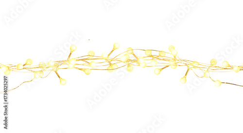 Close-up of a string of small, warm white LED fairy lights against a white background.