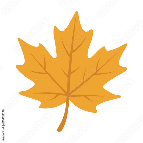 Yellow maple leaf in flat doodle style, autumn foliage with simple veins, isolated on white background.