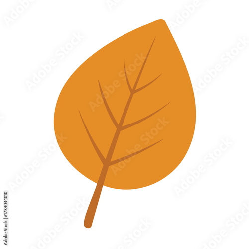 Orange autumn leaf in simple flat doodle style with veins, isolated illustration on white background.