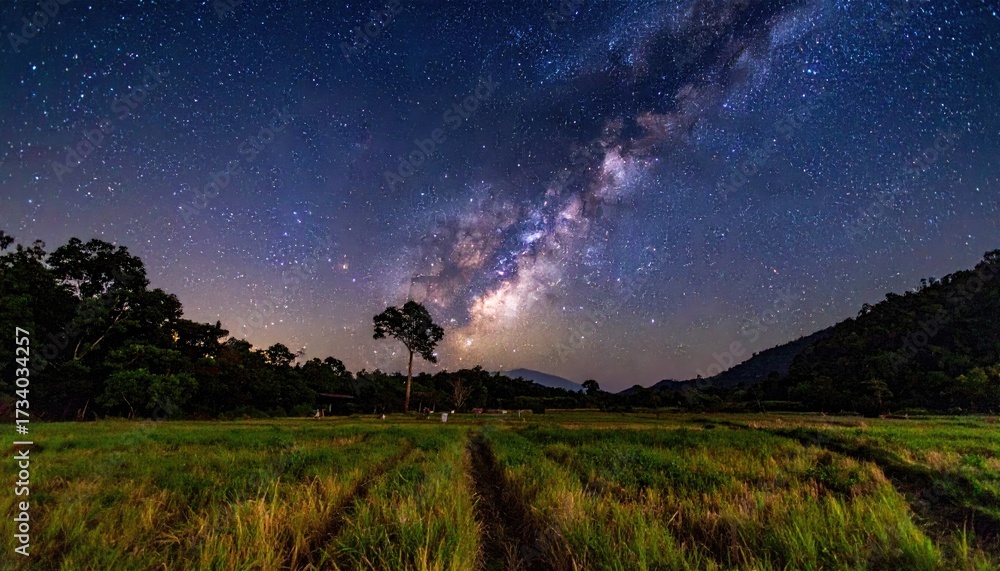 Fototapeta premium Milky Way Across Grassy Field at Night Under Starry Sky Panoramic View