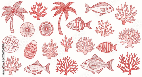 Hand-drawn coral reef with coral sea life and tropical plants on an isolated background