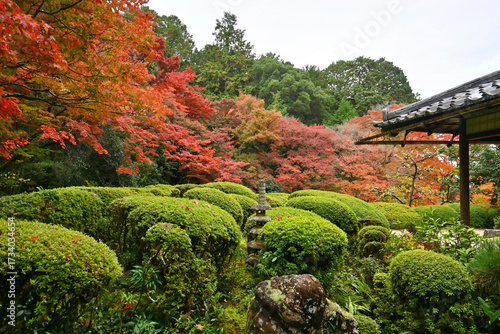 紅葉色付く秋の詩仙堂丈山寺 日本庭園