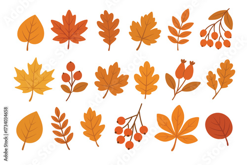 Autumn leaves