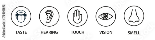 Human senses icon set. Vision eye, smell nose, hearing ear, touch hand, taste mouth with tongue. Simple line icons and black circle. Five senses of human nervous system. Vector illustration.