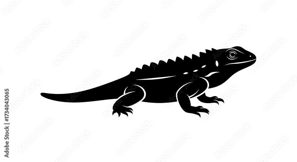 Obraz premium Black lizard silhouette isolated on white background