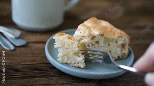 Slice of apple cake Charlotte, homemade baked sponge cake