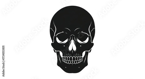 Black skull vector illustration isolated on white background