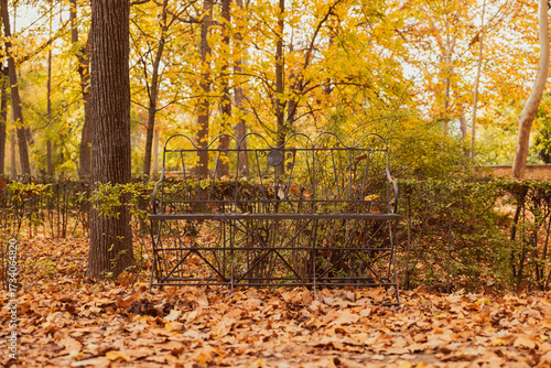 Park in autumn with a bench and dry leaves. Autumn concept.