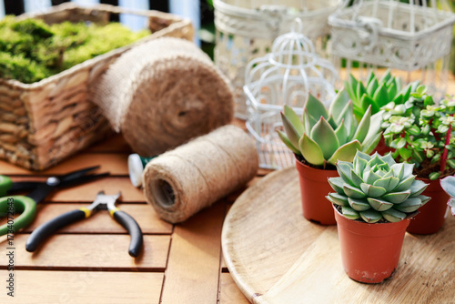 Florist at work: woman shows how to make cute home decorations with succuletnt plants. Step by step, tutorial.