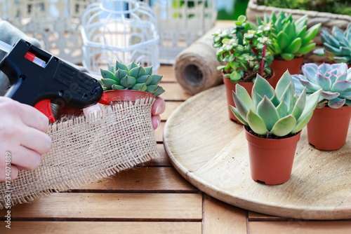 Florist at work: woman shows how to make cute home decorations with succuletnt plants. Step by step, tutorial.
