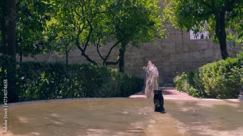 Serene fountain amidst lush greenery in a tranquil garden