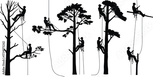 Tree climber silhouette set, arborist in tree, rope access workers, tree cutting scene, forest maintenance, climbing gear, tree service, outdoor work, vector illustration pack