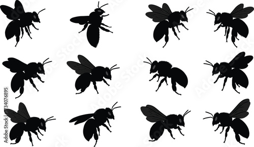 Silhouette bee collection, black insect icons, flying bees vector, realistic bee illustrations, entomology design, honeybee set, swarm shapes, isolated bug graphics, nature clipart bundle