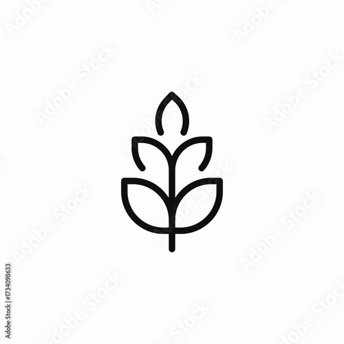 growing plant leaves icon sign vector