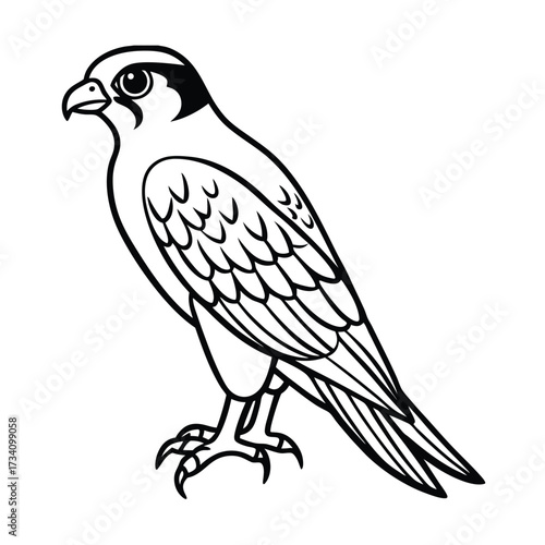Detailed black and white illustration of a majestic falcon perched and looking alert