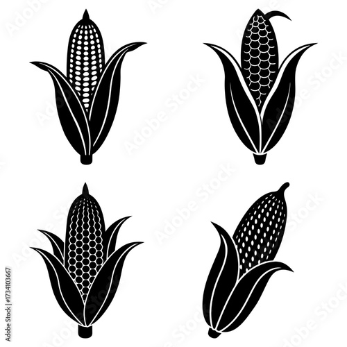 Collection of four black and white corn cobs with husks in various orientations and styles on white