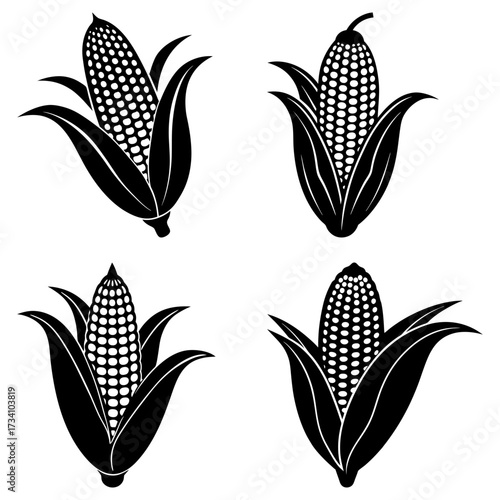 Four black and white corn cobs with husks arranged in a square pattern on a white background image