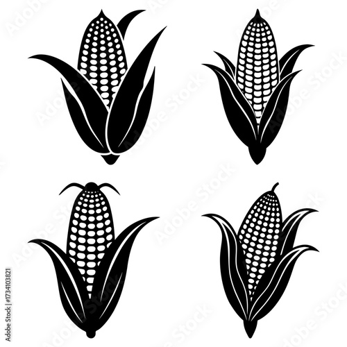 Four monochrome corn cobs with husks in varying orientations in a symmetrical arrangement on white background